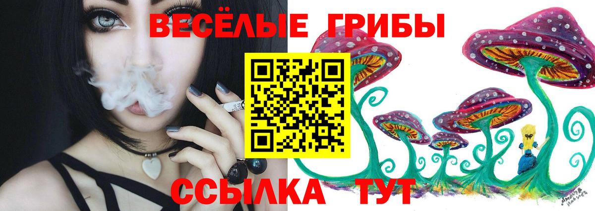 Псилоцибиновые грибы Psilocybine cubensis  Вход с VPN  Заводоуковск 